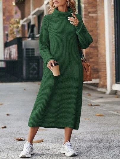 Turtleneck Dress